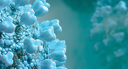 Drugs en corona virus